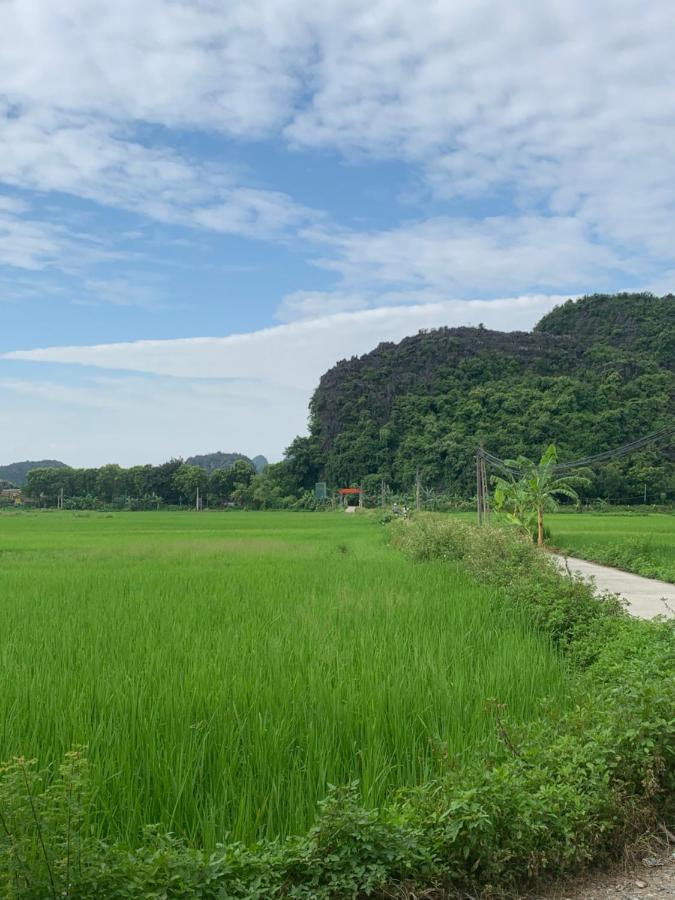 Tam Coc Wonderland Bungalow نينه بينه المظهر الخارجي الصورة