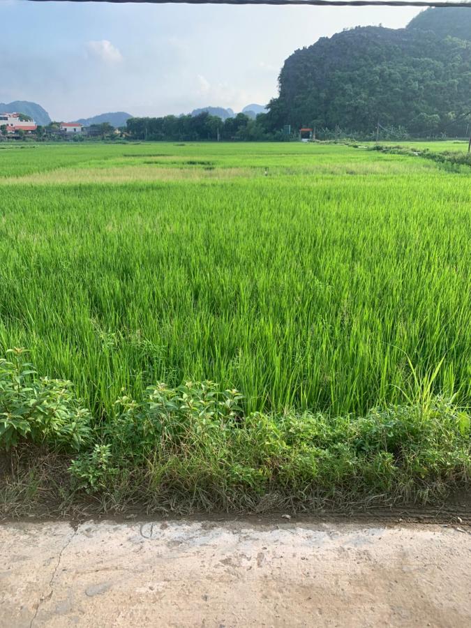 Tam Coc Wonderland Bungalow نينه بينه المظهر الخارجي الصورة