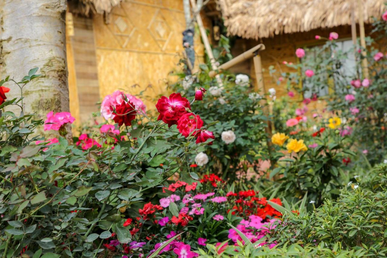 Tam Coc Wonderland Bungalow نينه بينه المظهر الخارجي الصورة